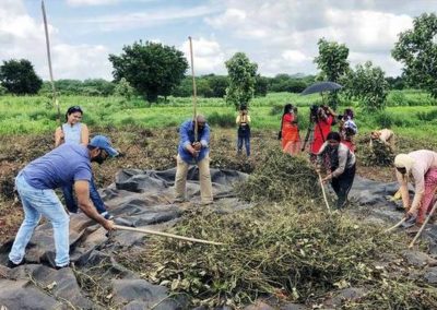 Win-win for health freaks, farmers and environment