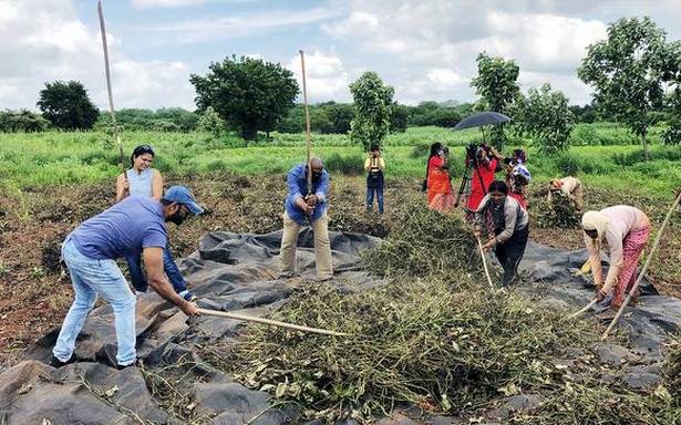 Win-win for health freaks, farmers and environment
