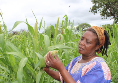 Using Traditional and Indigenous Food Resources to Combat Years of Successive Drought