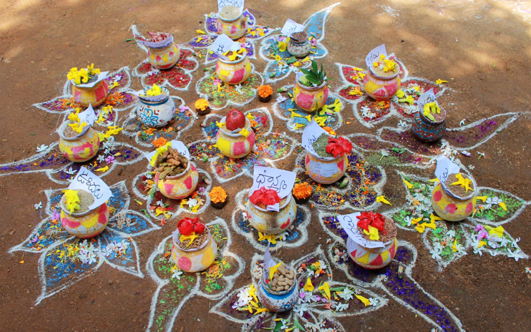 Indian Women Turn to Ancient Grains to Feed Their Families and Their Futures