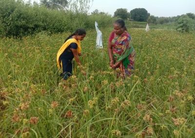 Back to Millets in the wake of Covid-19
