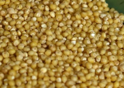 APEDA strategises plan for promotion of millets & millet products with IIMR