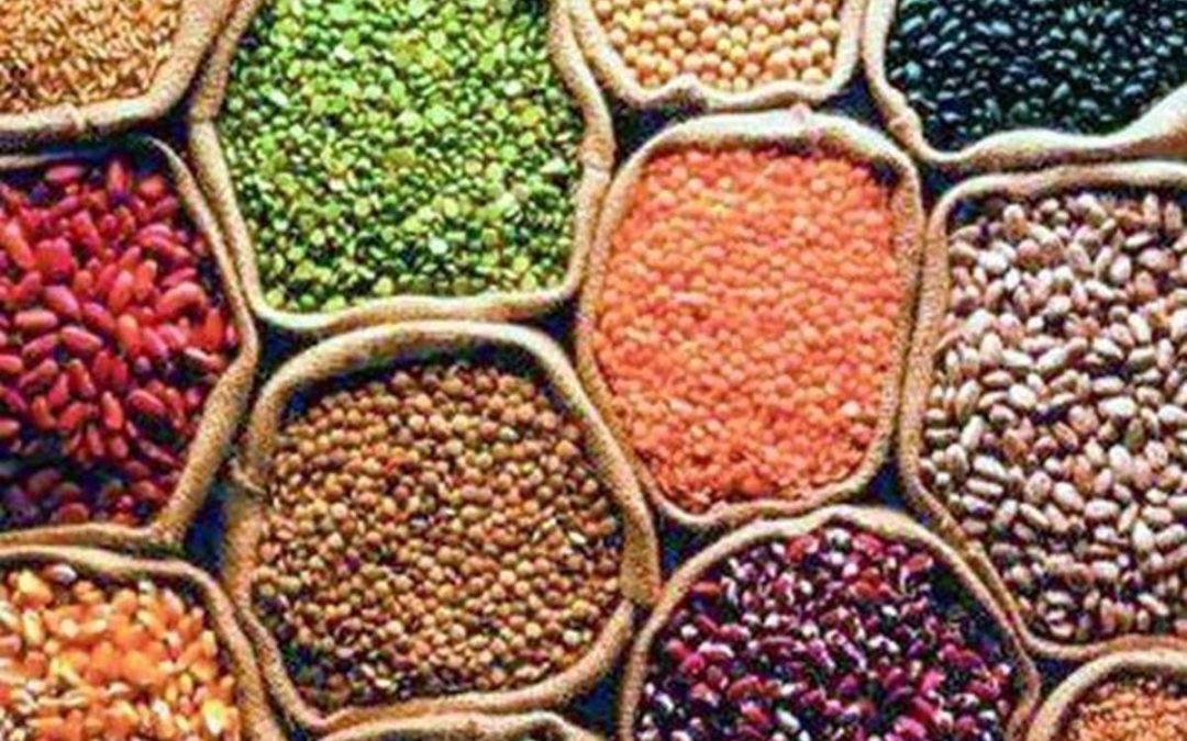 Centre needs to implement diversified food basket schemes, says study