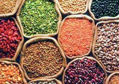 Centre needs to implement diversified food basket schemes, says study