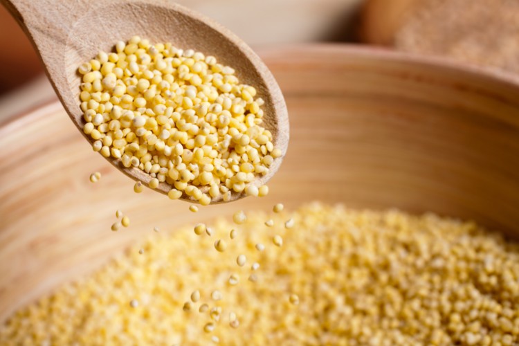 Millets are good for Us                        