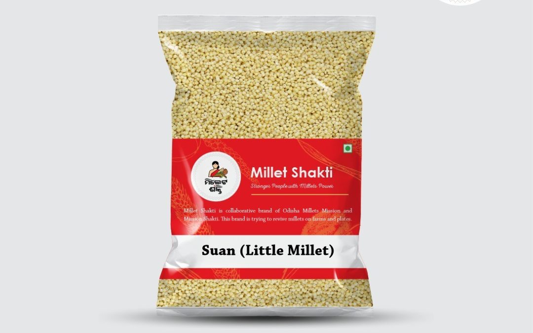Little Millet by Millet Shakti