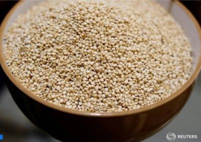 OPINION: A pandemic of malnutrition calls for new food policies in Africa