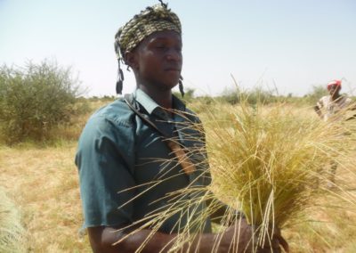From West Africa, here comes the next miracle grain: fonio