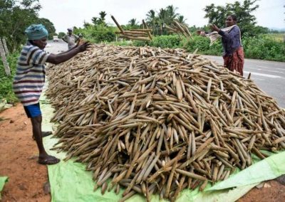 NITI Aayog hails millet revival in Odisha