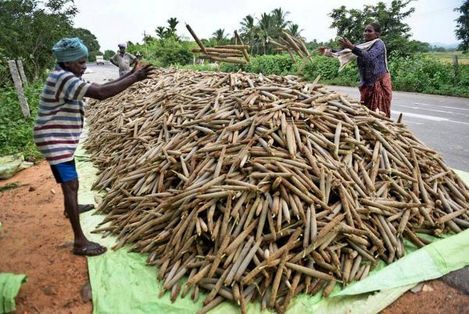 NITI Aayog hails millet revival in Odisha