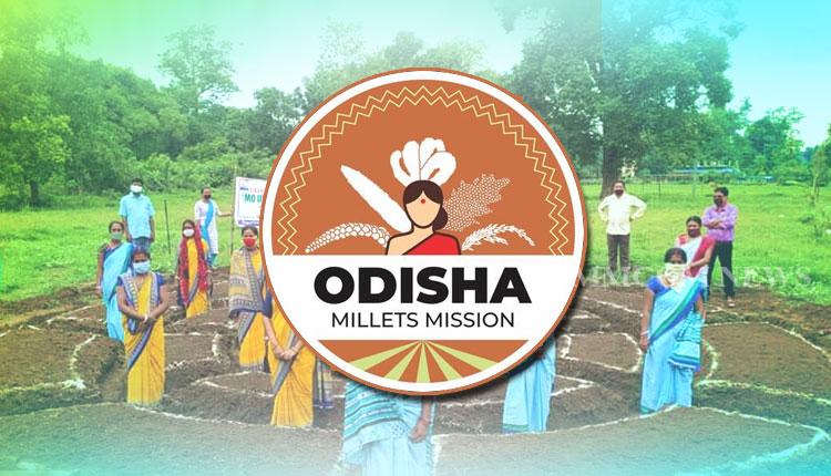 ‘Odisha Millet Mission’ & ‘Mo Upakari Bagicha’ Praised By Niti Aayog