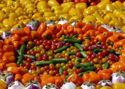 Diversity In Food Intake Curbs Malnutrition