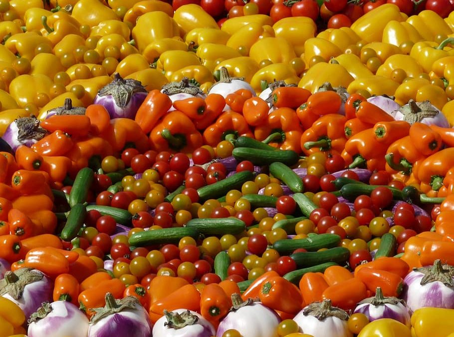 Diversity In Food Intake Curbs Malnutrition