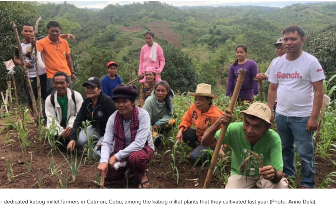 Voices from the Field: Kabog Millet Farmers in the Philippines Envision the Future Post-COVID-19