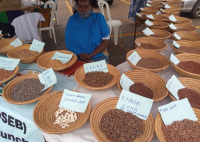 Upscaling Climate Smart and Nutrition Sensitive Beans and Finger Millet in Uganda