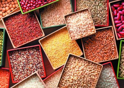 Boost Millets for Health and Climate  