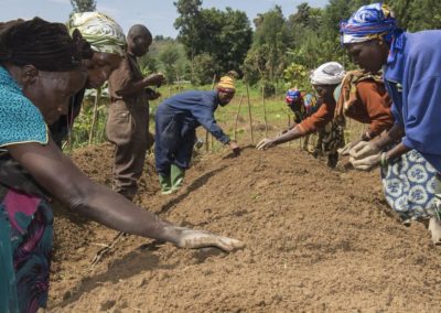 Higher quality seeds can help beat Africa’s ‘hunger pandemic’