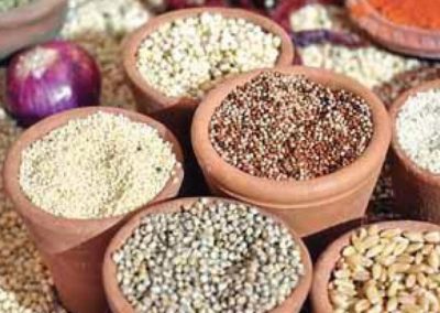 Karnataka’s efforts put millets on global map