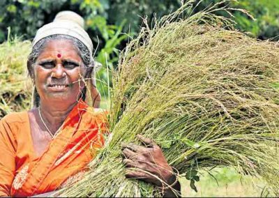 Hyderabad-based ‘Millet Bank’ empowering women farmers