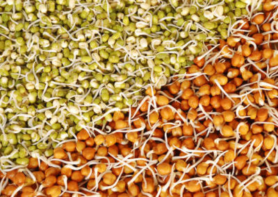 The Three Rules Of Eating Dals, As Per Nutritionist Rujuta Diwekar