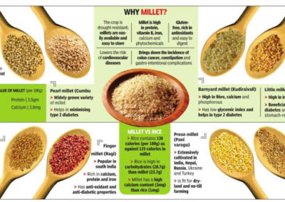 Karnataka: Agri price commission recommends millets for mid-day meals, decentralised MSP and procurement system