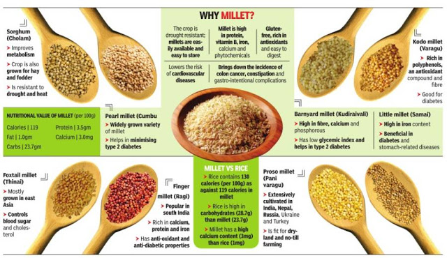 Karnataka: Agri price commission recommends millets for mid-day meals, decentralised MSP and procurement system