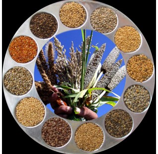 Source millets for PDS from local farmers: Panel