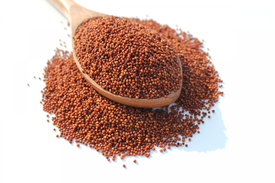 Rediscovering millets                             