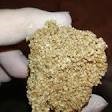 Ancient millet grains found in 2,000-year-old tomb in NW China