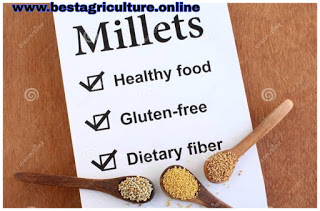 How much benefits of Millets for your healthy life