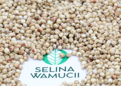 Tanzania: Tari Improves Drought Resistant Crops, Trains Farmers
