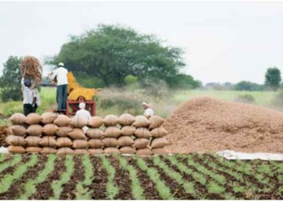 Decentralisation in Food Security System Can Reduce Hunger and Malnutrition