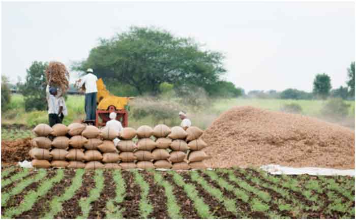 Decentralisation in Food Security System Can Reduce Hunger and Malnutrition