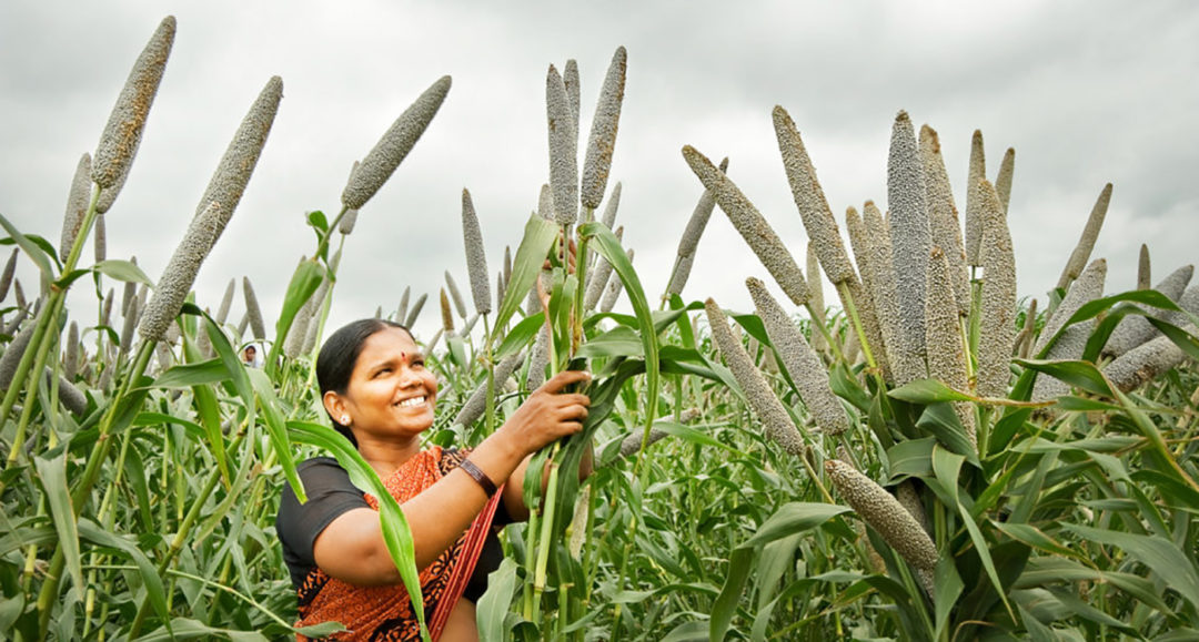 NITI Aayog member advocates higher water use efficiency in Telangana