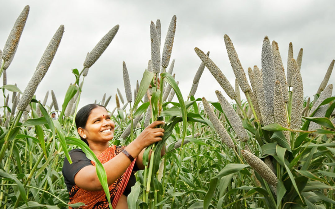 NITI Aayog member advocates higher water use efficiency in Telangana