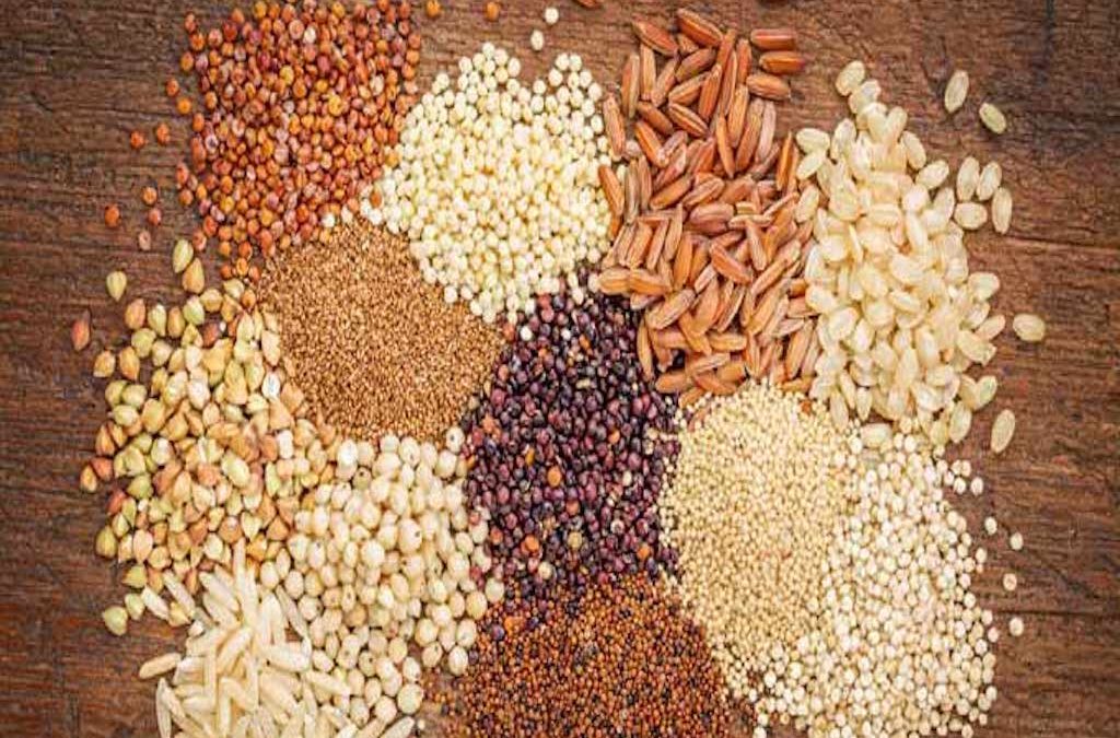 Millet Production : One of the most important ways to solve agricultural problems is to boost Millet value chain programs