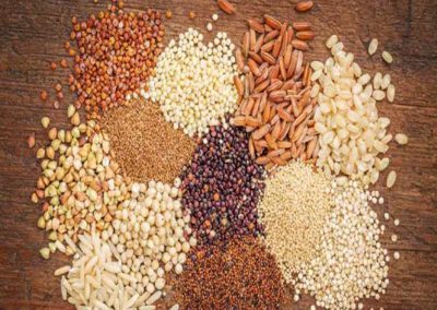 Millet Production : One of the most important ways to solve agricultural problems is to boost Millet value chain programs