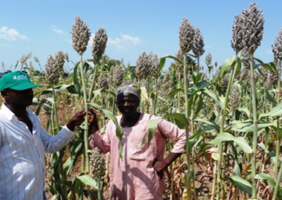 How indigenous South African foods nourished my mental health