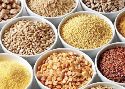 Immunity begins at home                      