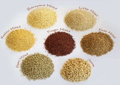 India begins exports of organic millets grown in Himalayas to Denmark