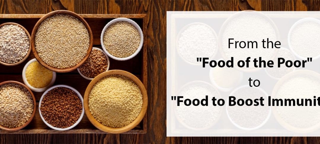 Millets: From the “Food of the Poor” to “Food to Boost Immunity”