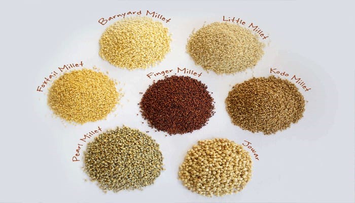 India begins exports of organic millets grown in Himalayas to Denmark