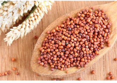 Amazing Health Benefits of Ragi          