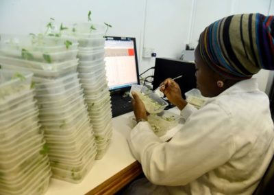 African countries must embrace the concept of good food as good medicine