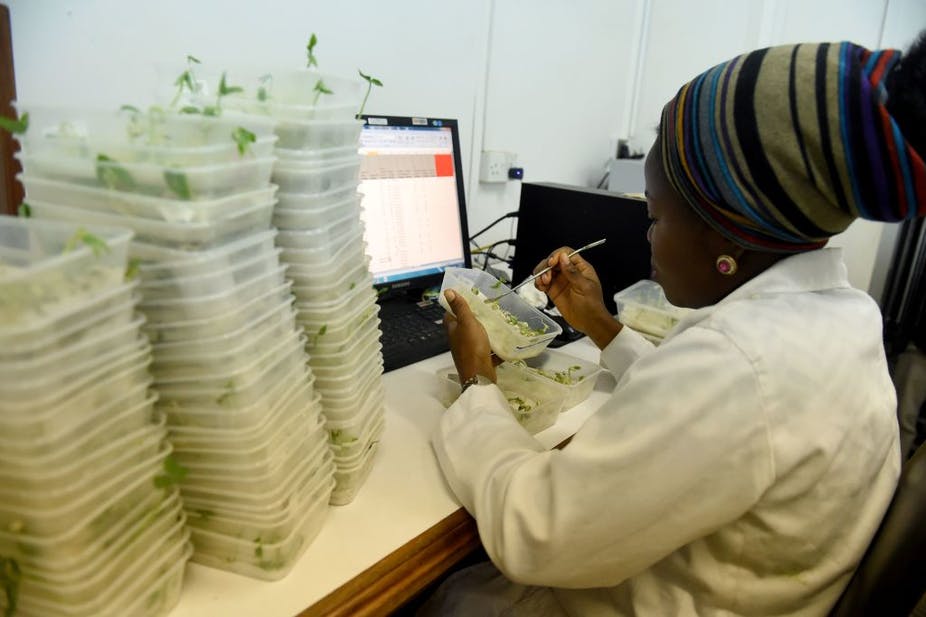 African countries must embrace the concept of good food as good medicine