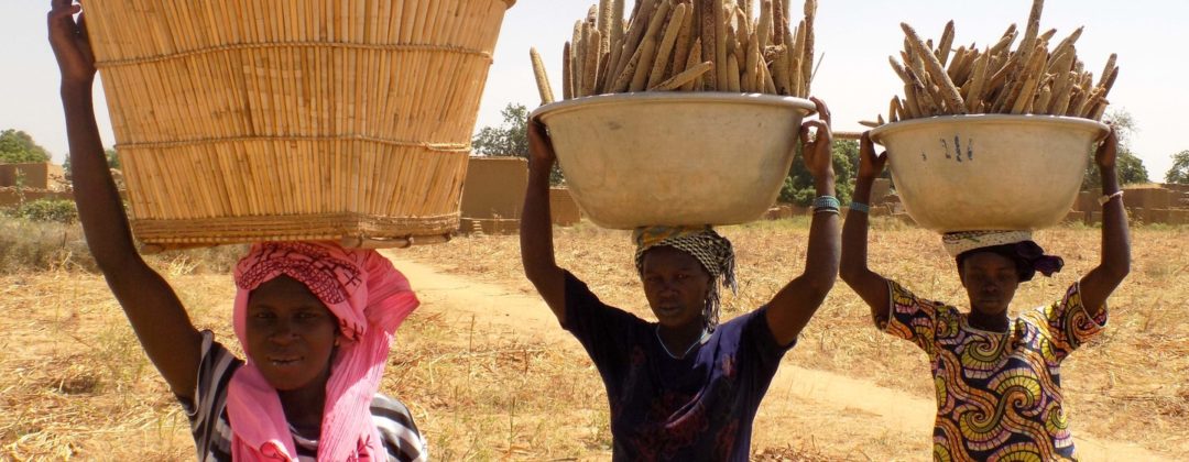 Millets prove tasty solution to climate and food security challenges