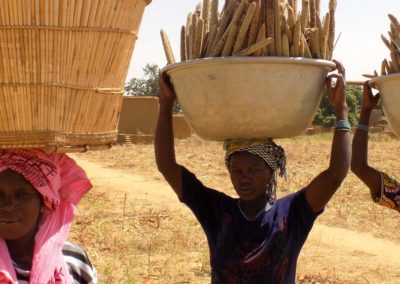Millets prove tasty solution to climate and food security challenges