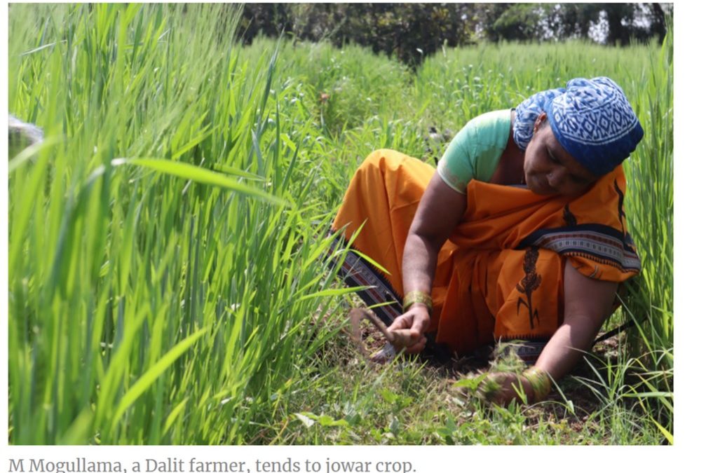 How these Telangana women farmers rode out the pandemic