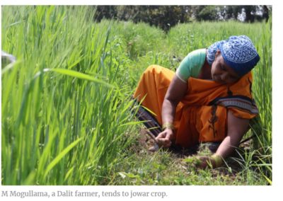 How these Telangana women farmers rode out the pandemic