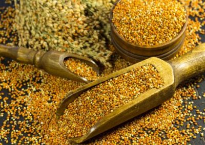What are Millets: Types, Benefits and Recipes